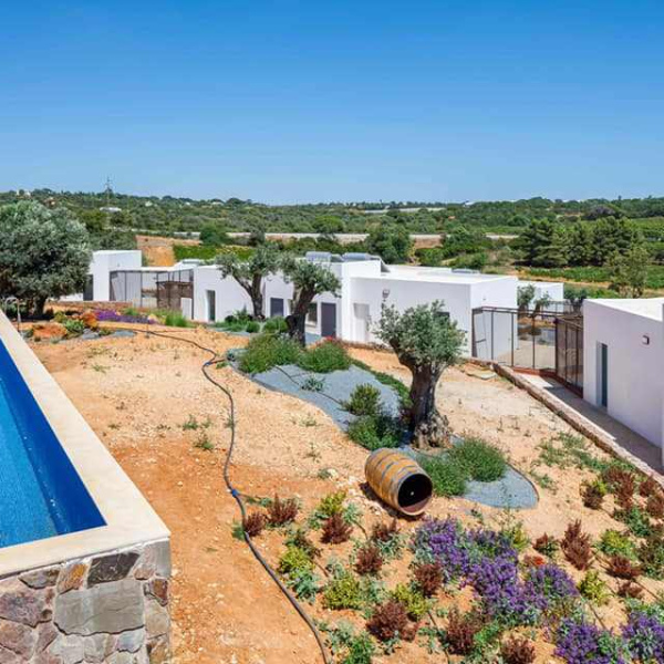 Casas na vinha | Vineyard houses